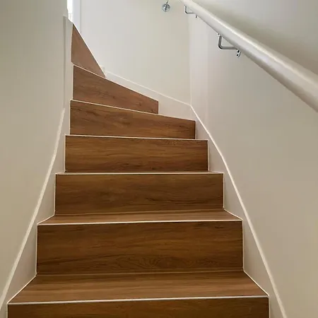 Strandnelke * Wenningstedt-Braderup